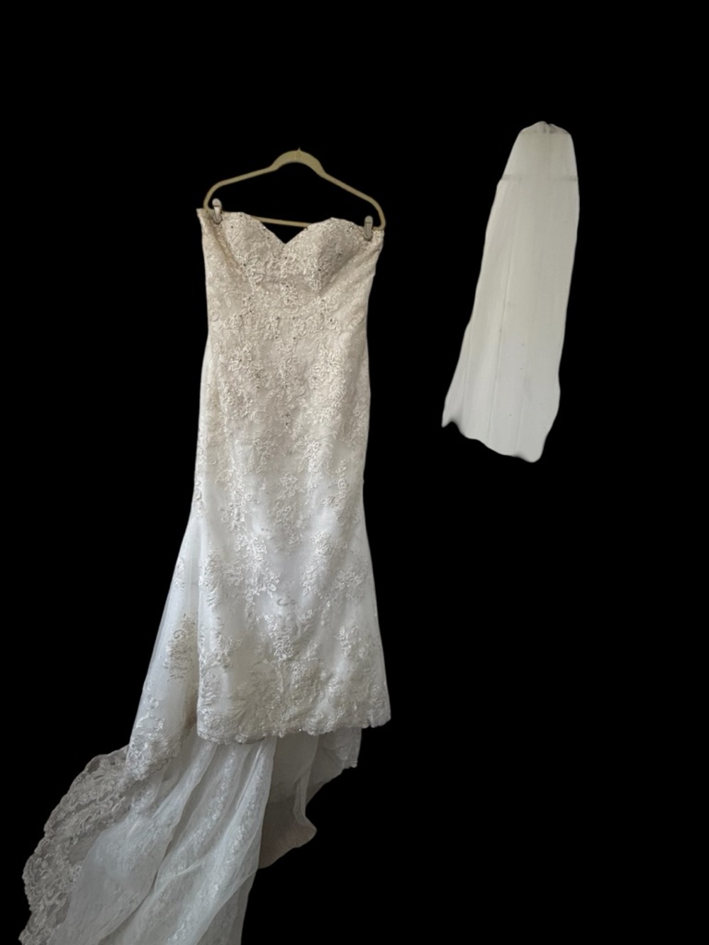 Adrianna Papell White Lace Strapless Wedding Gown with Veil